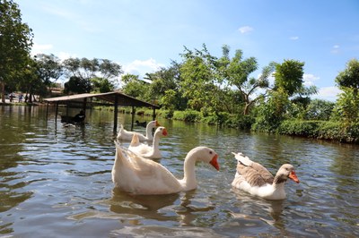 Foto Francisco Carvalho (169).JPG