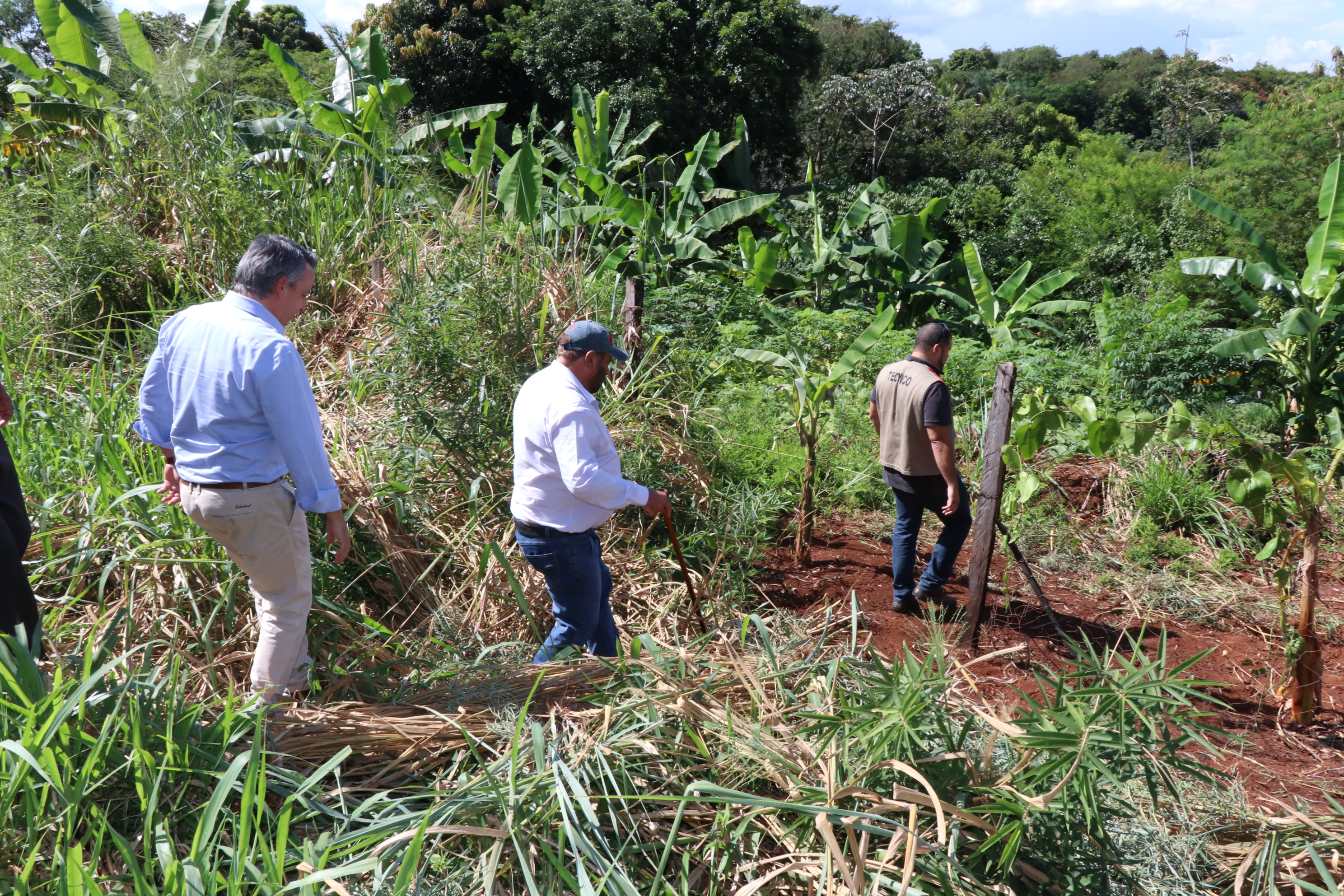 Foto Francisco Carvalho (17).JPG