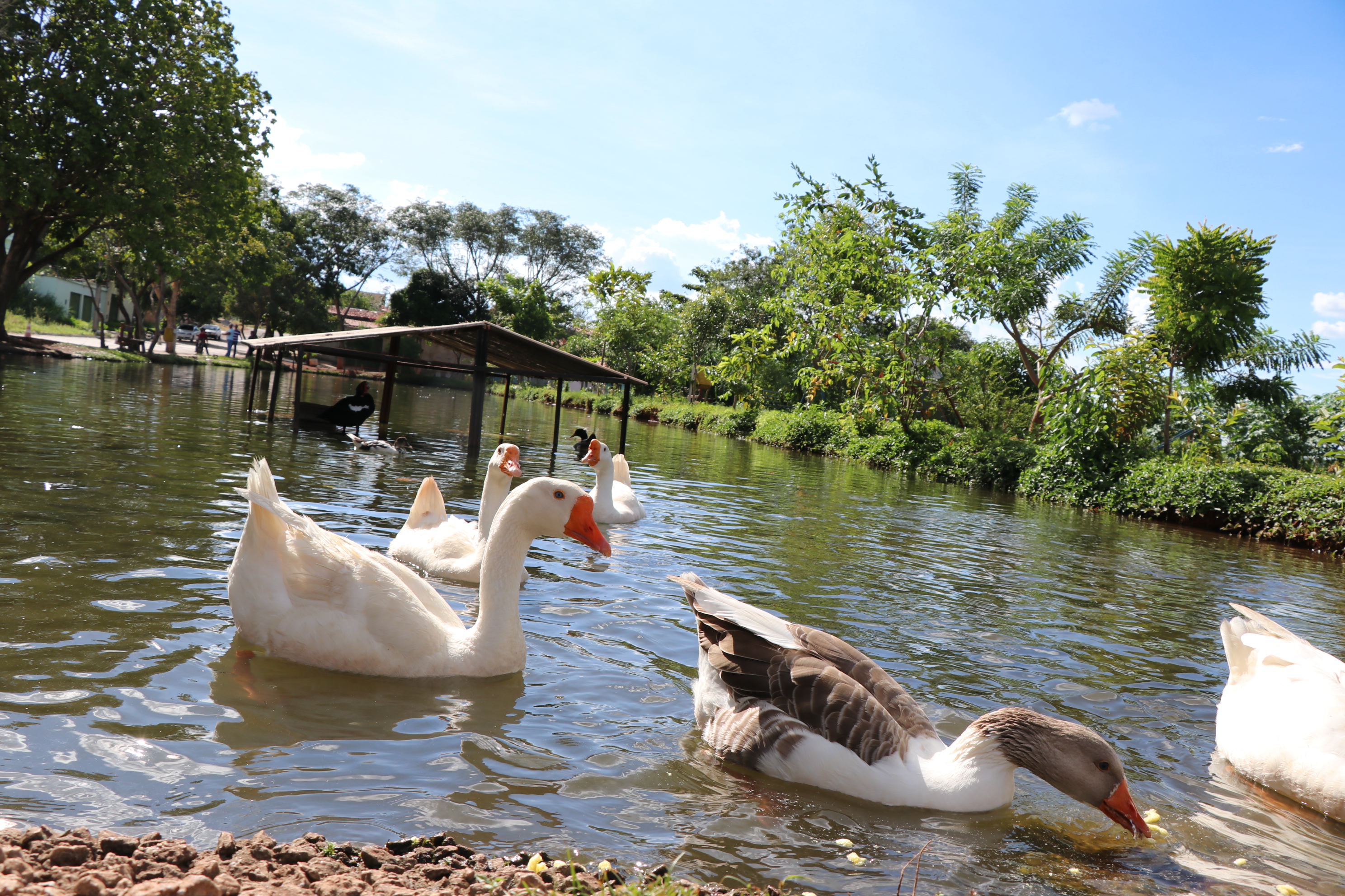Foto Francisco Carvalho (170).JPG