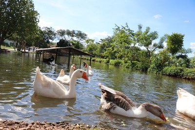 Foto Francisco Carvalho (170).JPG