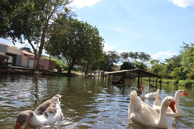 Foto Francisco Carvalho (171).JPG