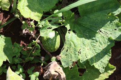 Foto Francisco Carvalho (21).JPG