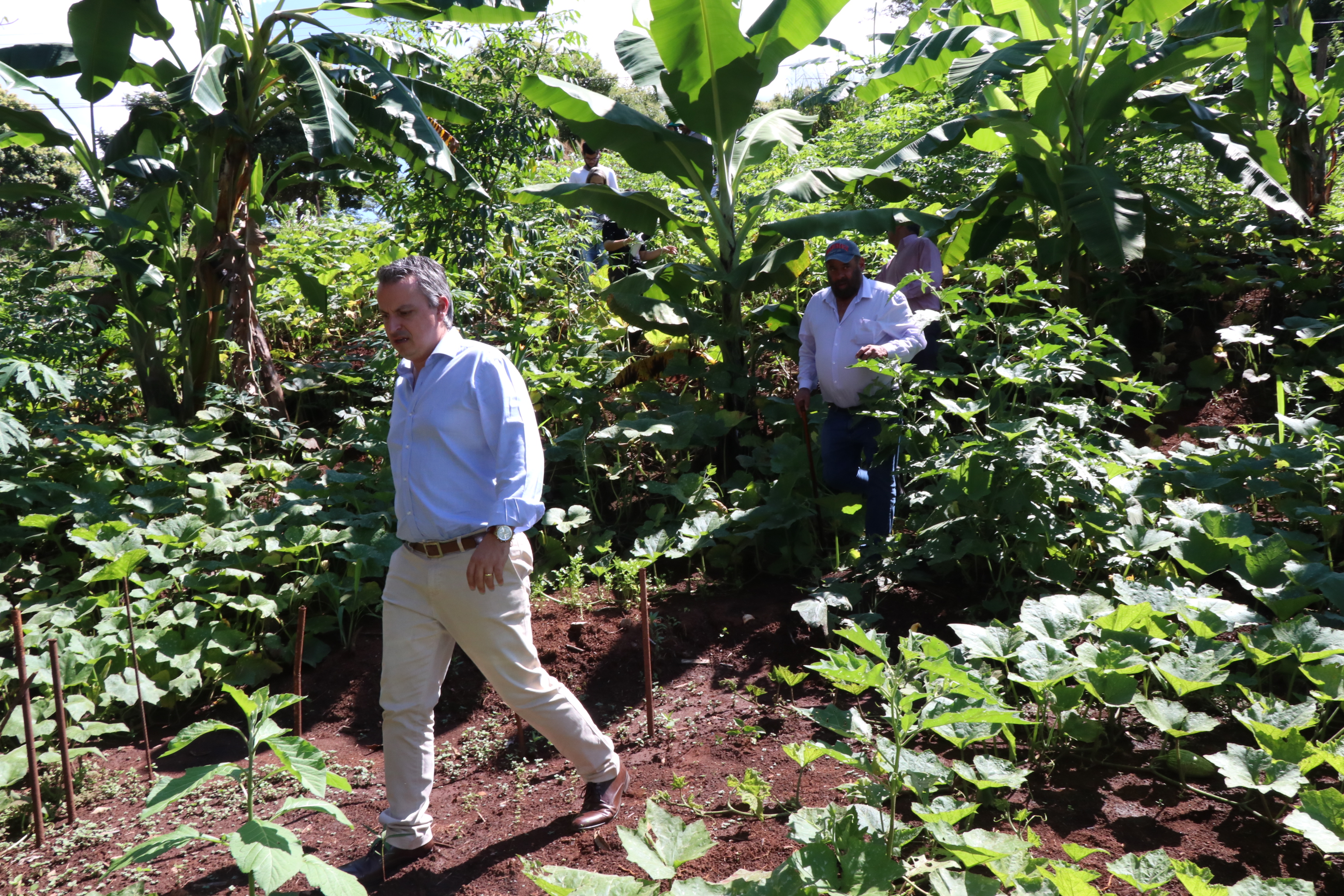 Foto Francisco Carvalho (23).JPG
