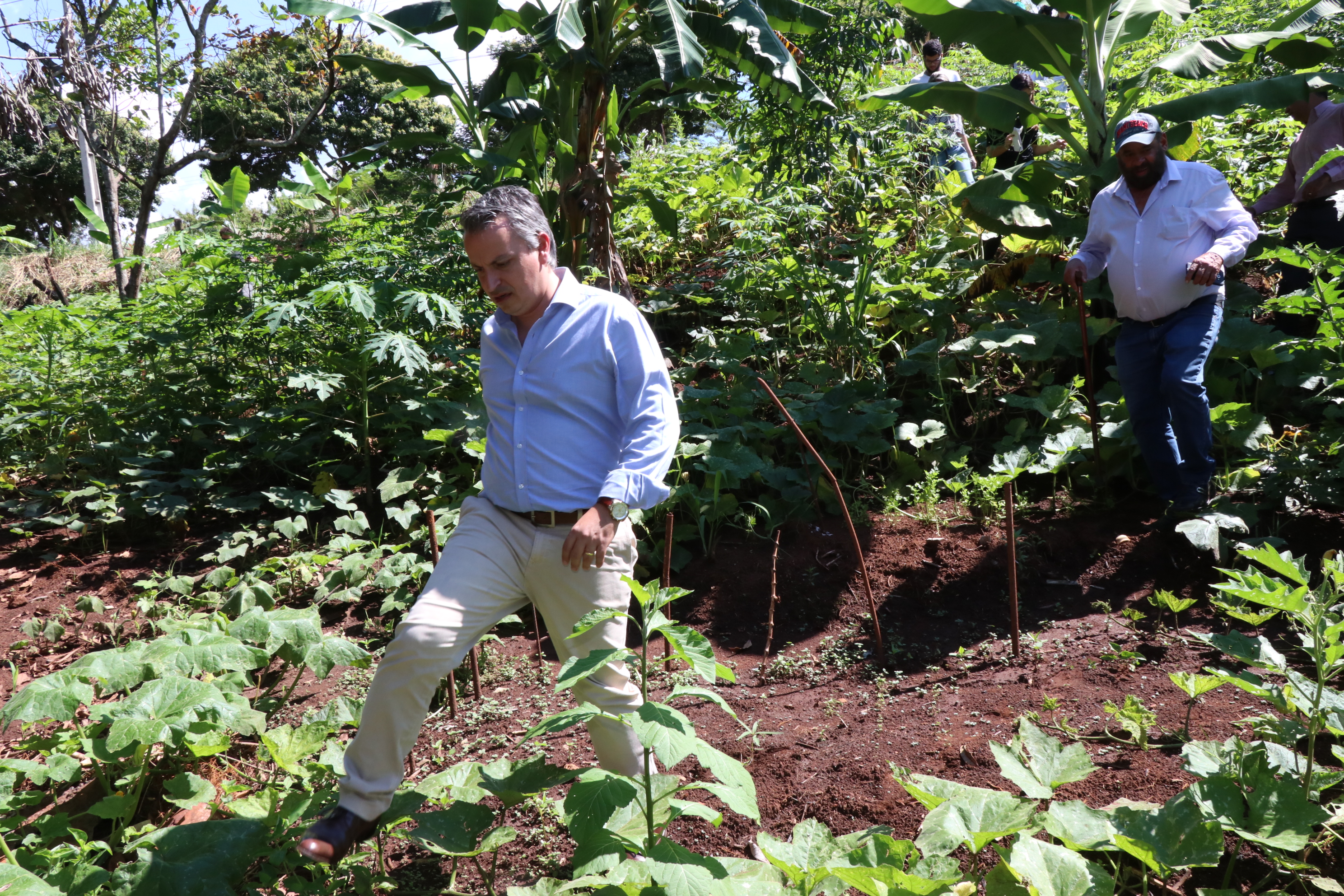 Foto Francisco Carvalho (24).JPG