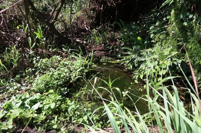 Foto Francisco Carvalho (25).JPG