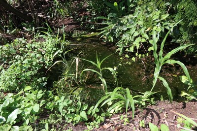 Foto Francisco Carvalho (26).JPG