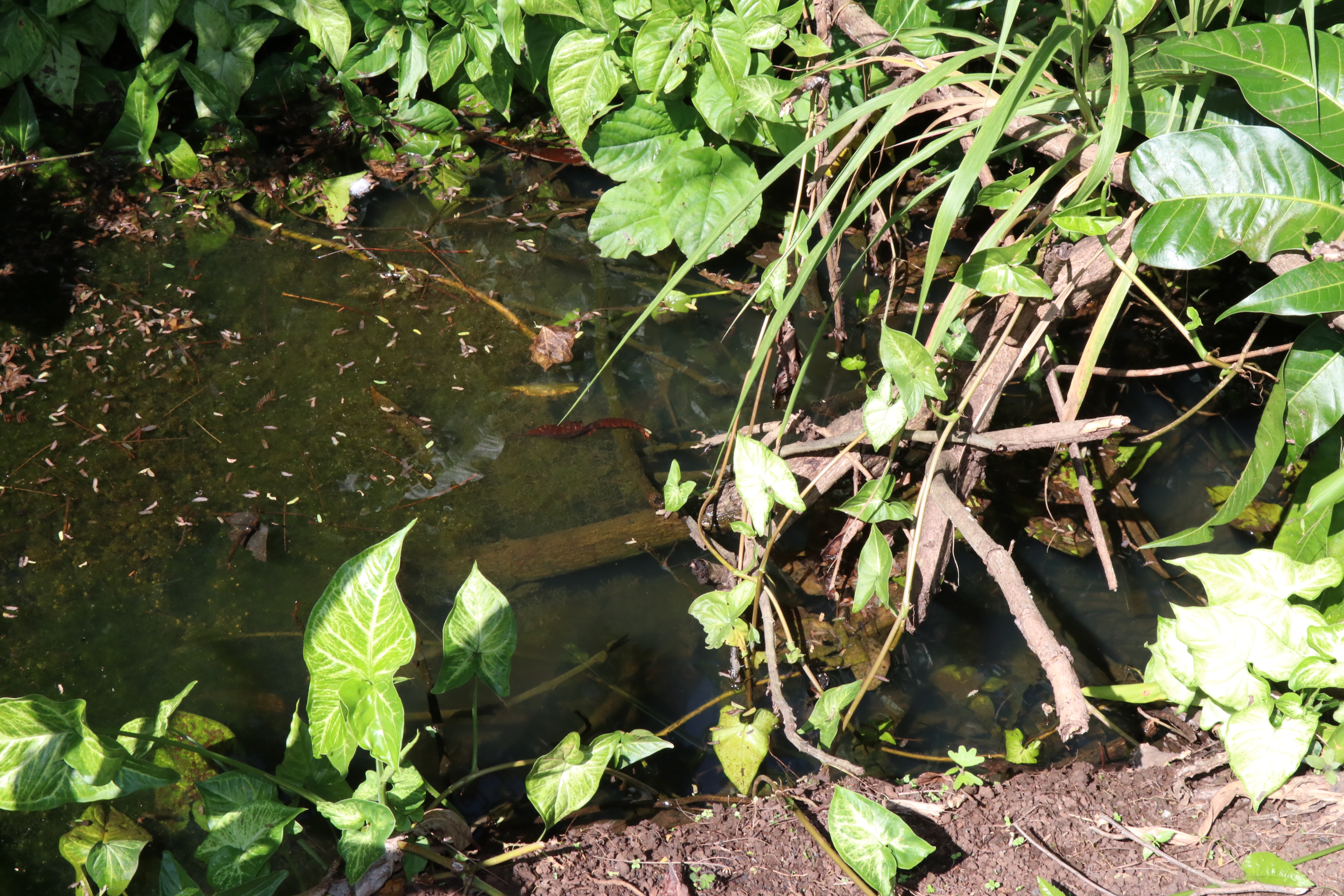 Foto Francisco Carvalho (27).JPG