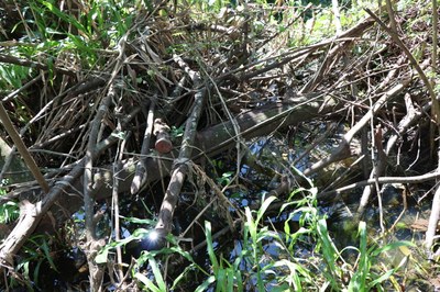 Foto Francisco Carvalho (28).JPG