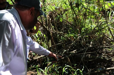Foto Francisco Carvalho (32).JPG