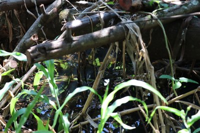 Foto Francisco Carvalho (34).JPG