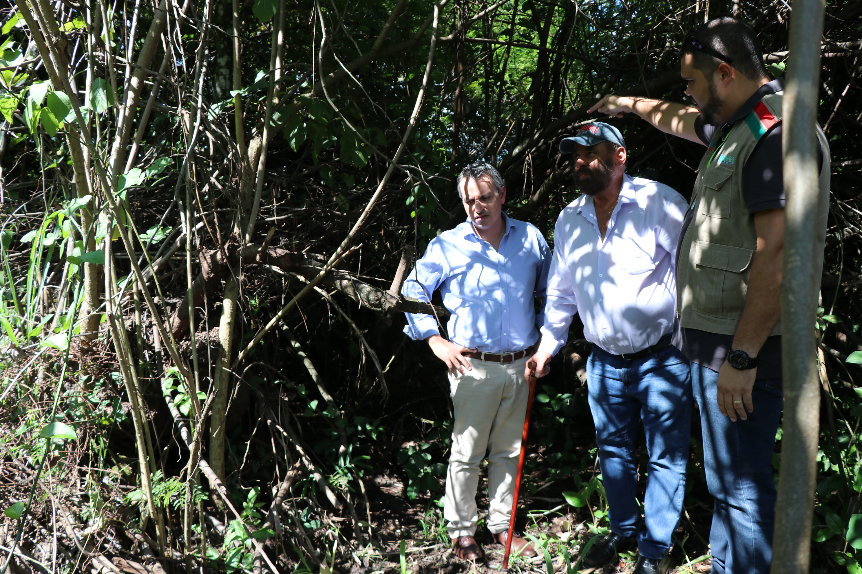 Foto Francisco Carvalho (35).JPG