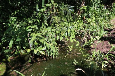 Foto Francisco Carvalho (36).JPG