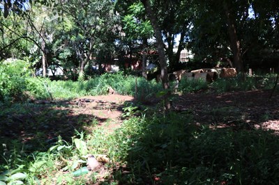 Foto Francisco Carvalho (37).JPG