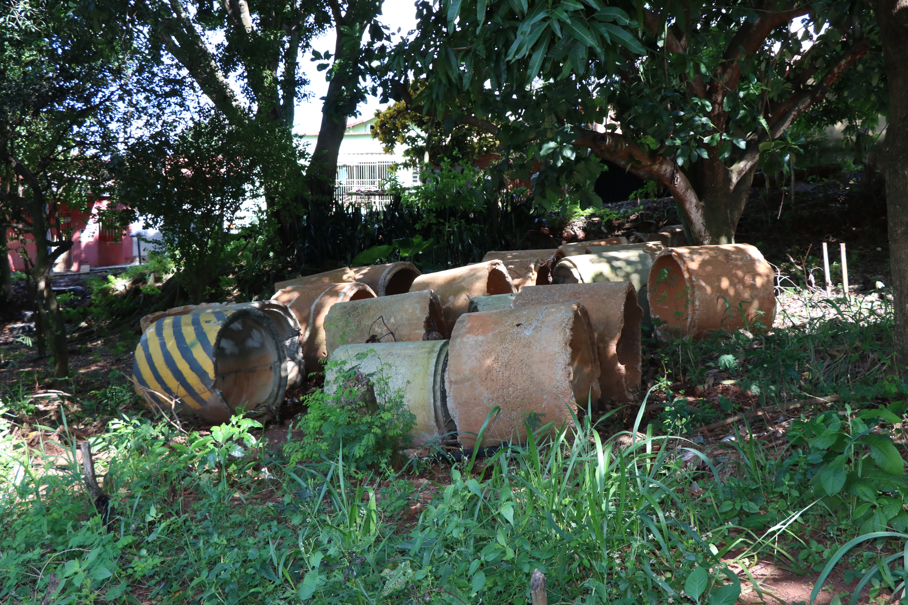 Foto Francisco Carvalho (41).JPG