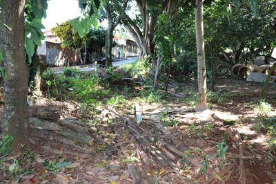 Foto Francisco Carvalho (43).JPG