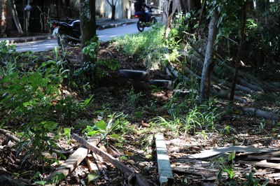 Foto Francisco Carvalho (44).JPG