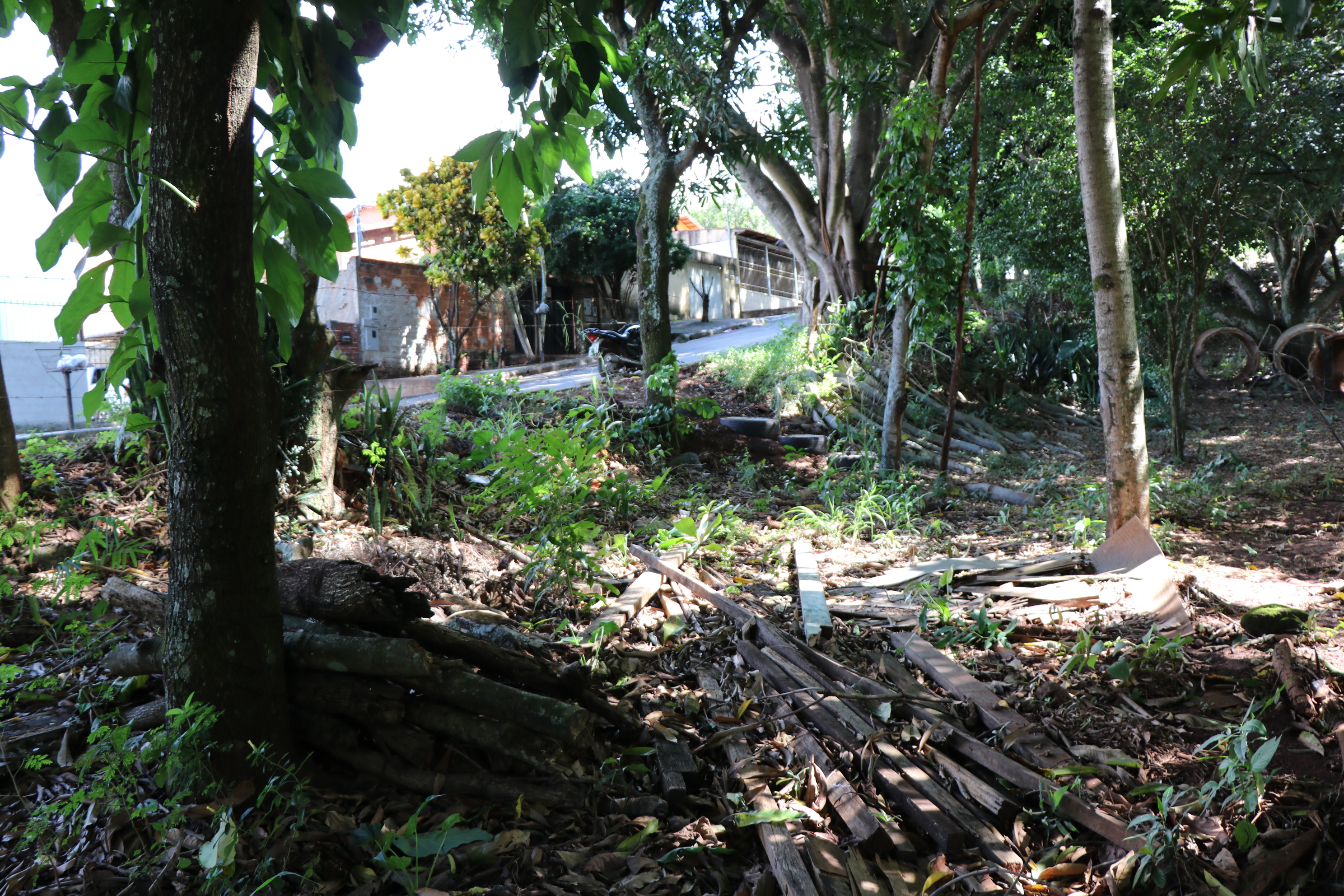 Foto Francisco Carvalho (45).JPG