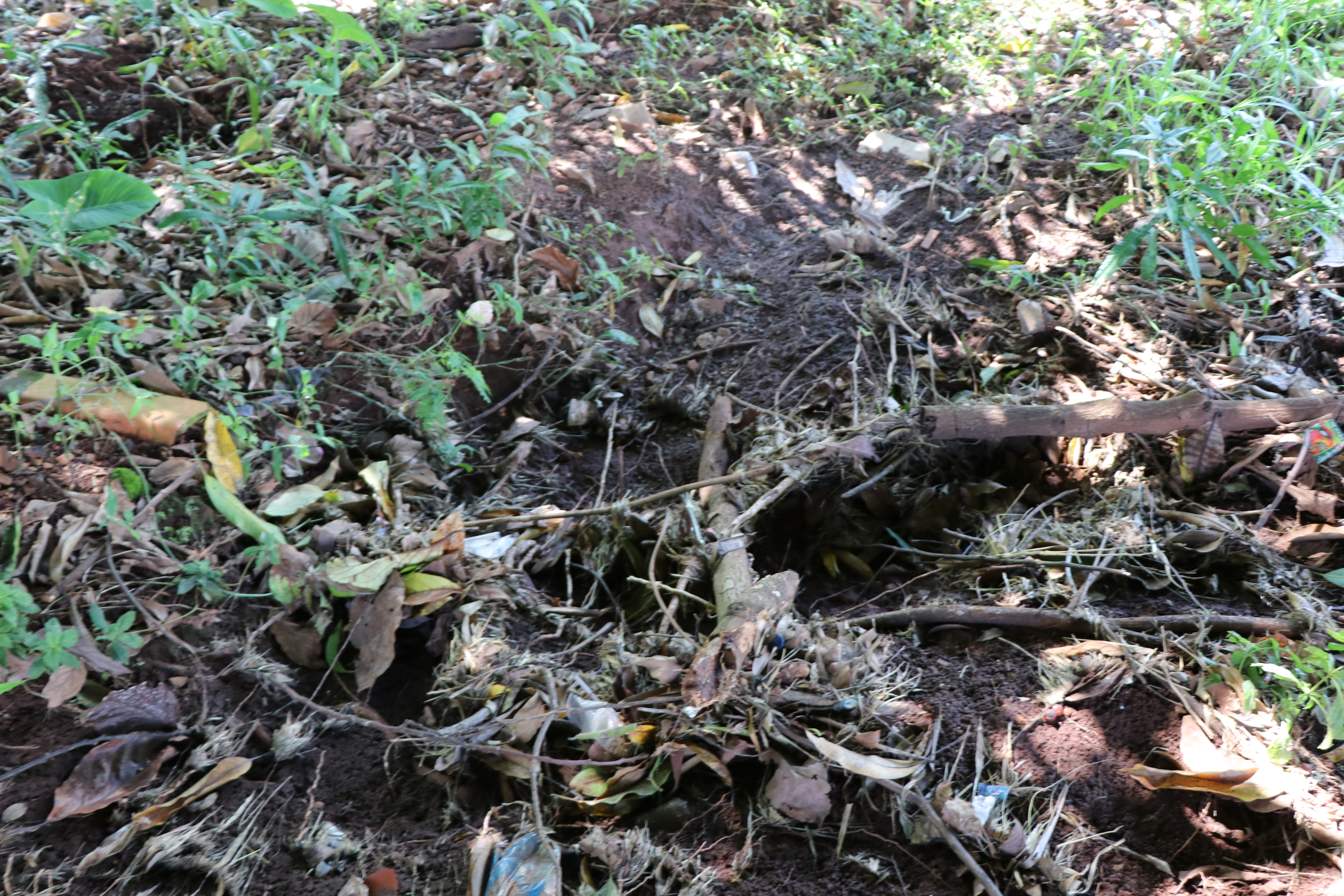 Foto Francisco Carvalho (46).JPG