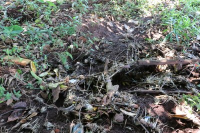 Foto Francisco Carvalho (46).JPG