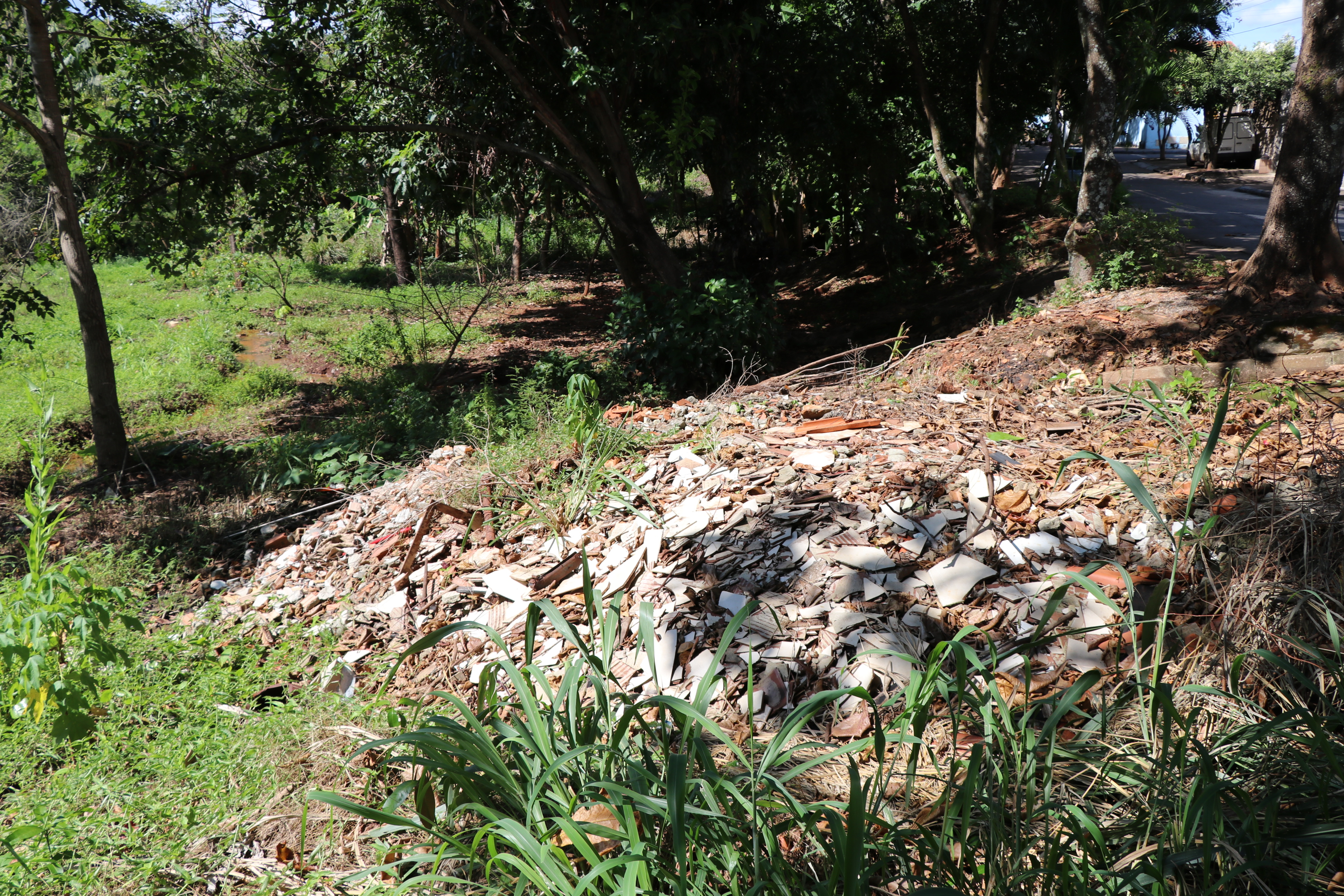 Foto Francisco Carvalho (47).JPG