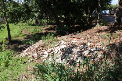 Foto Francisco Carvalho (47).JPG