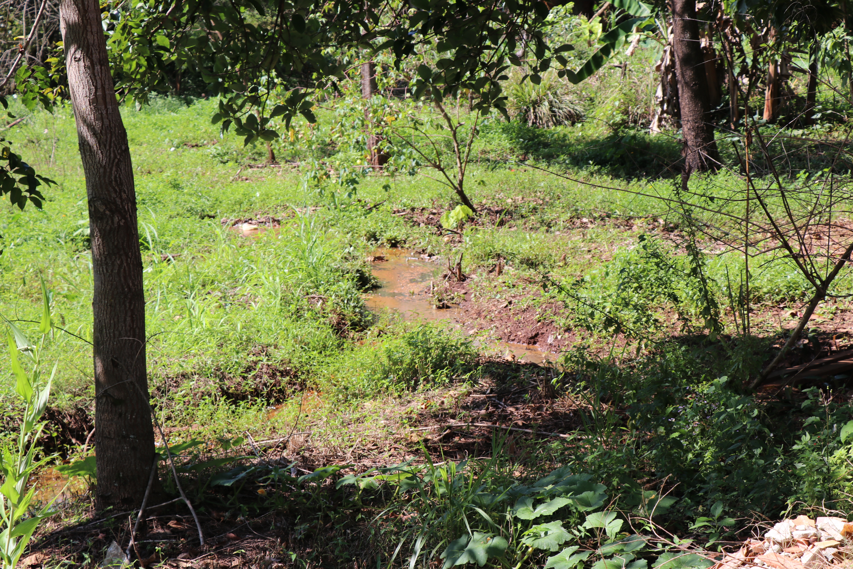 Foto Francisco Carvalho (48).JPG