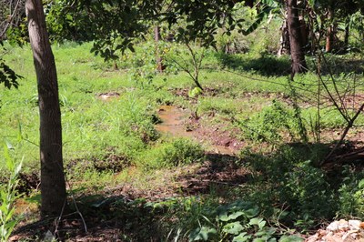 Foto Francisco Carvalho (48).JPG