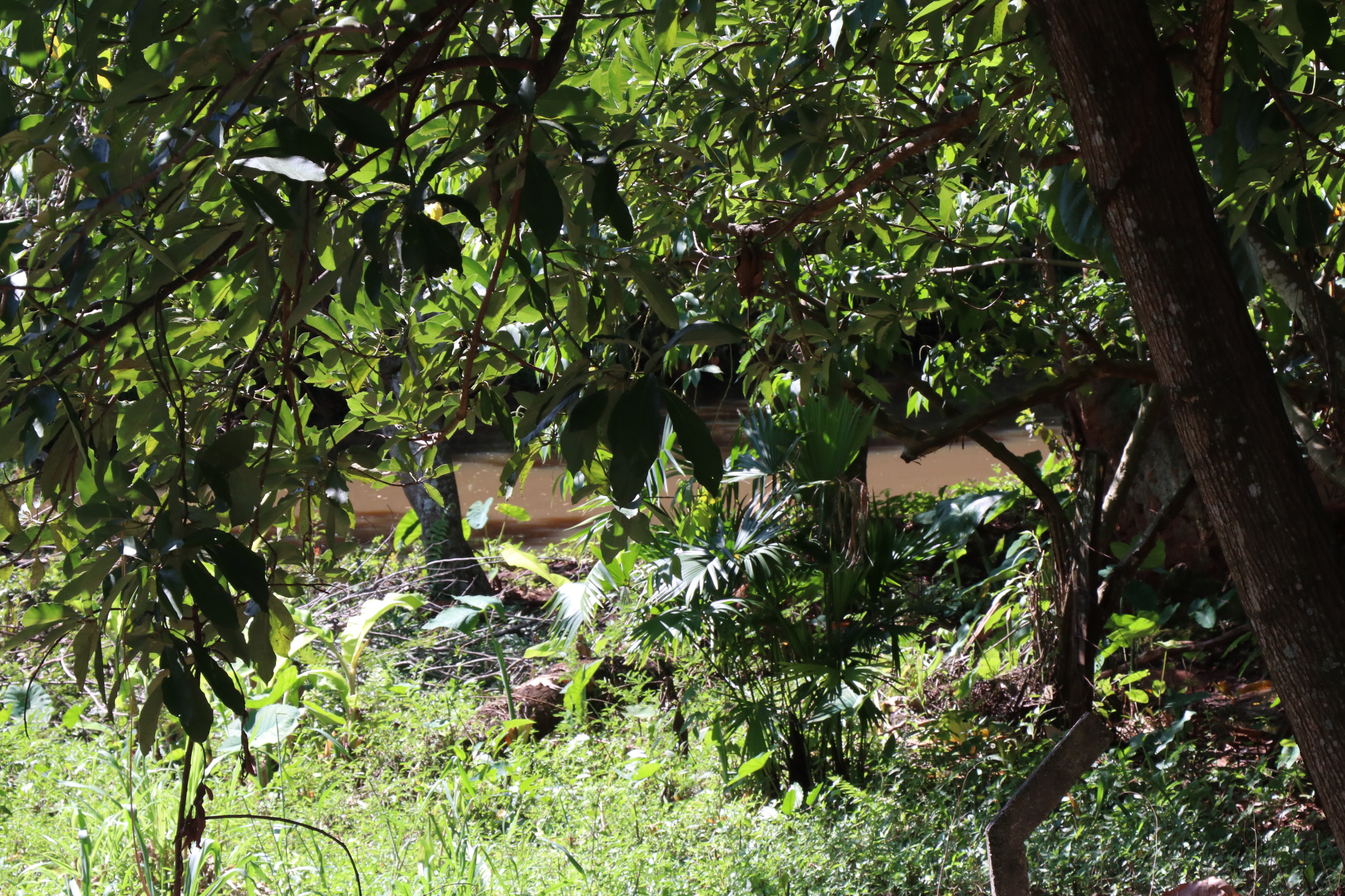 Foto Francisco Carvalho (53).JPG