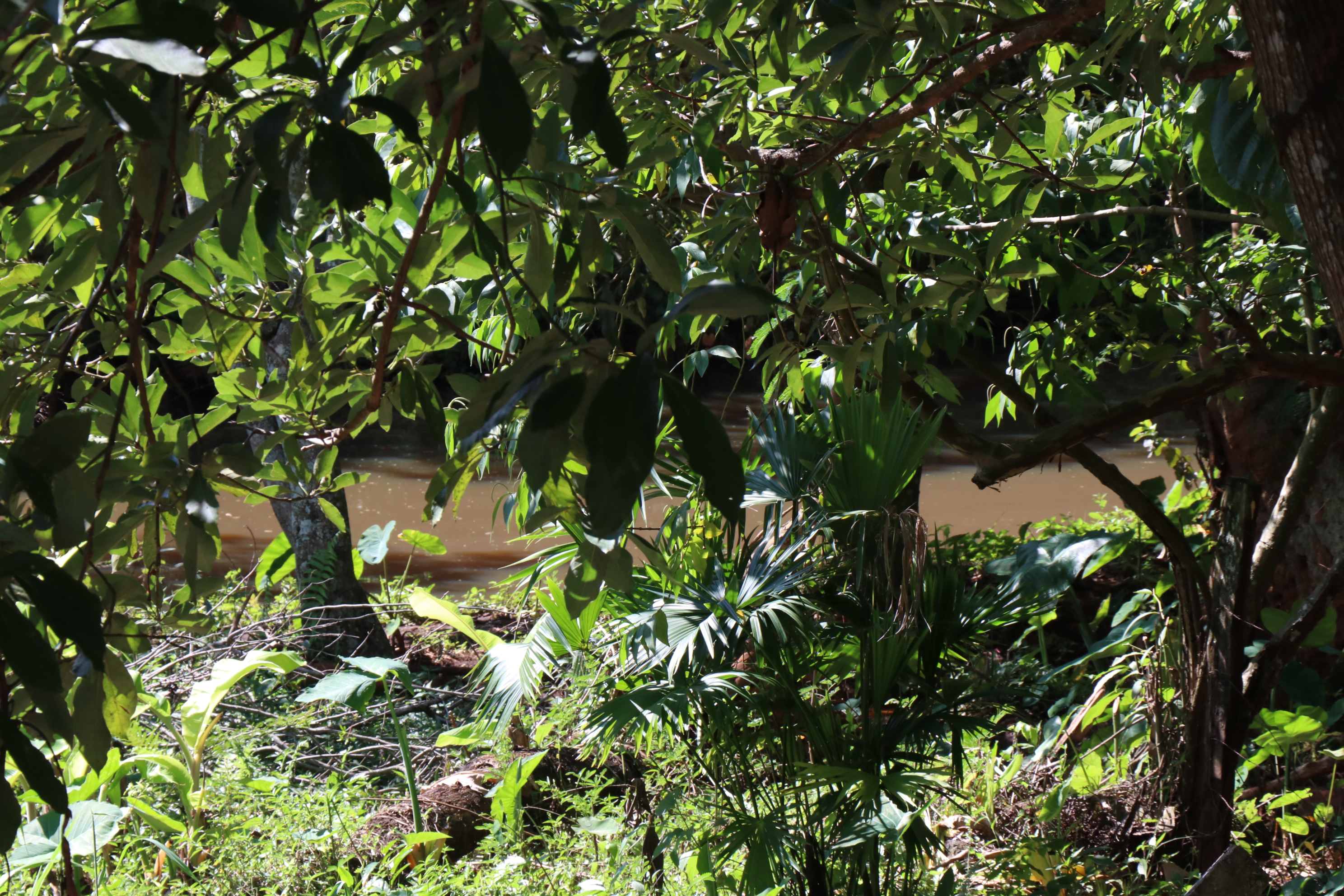 Foto Francisco Carvalho (54).JPG