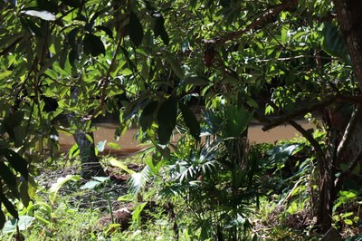 Foto Francisco Carvalho (54).JPG