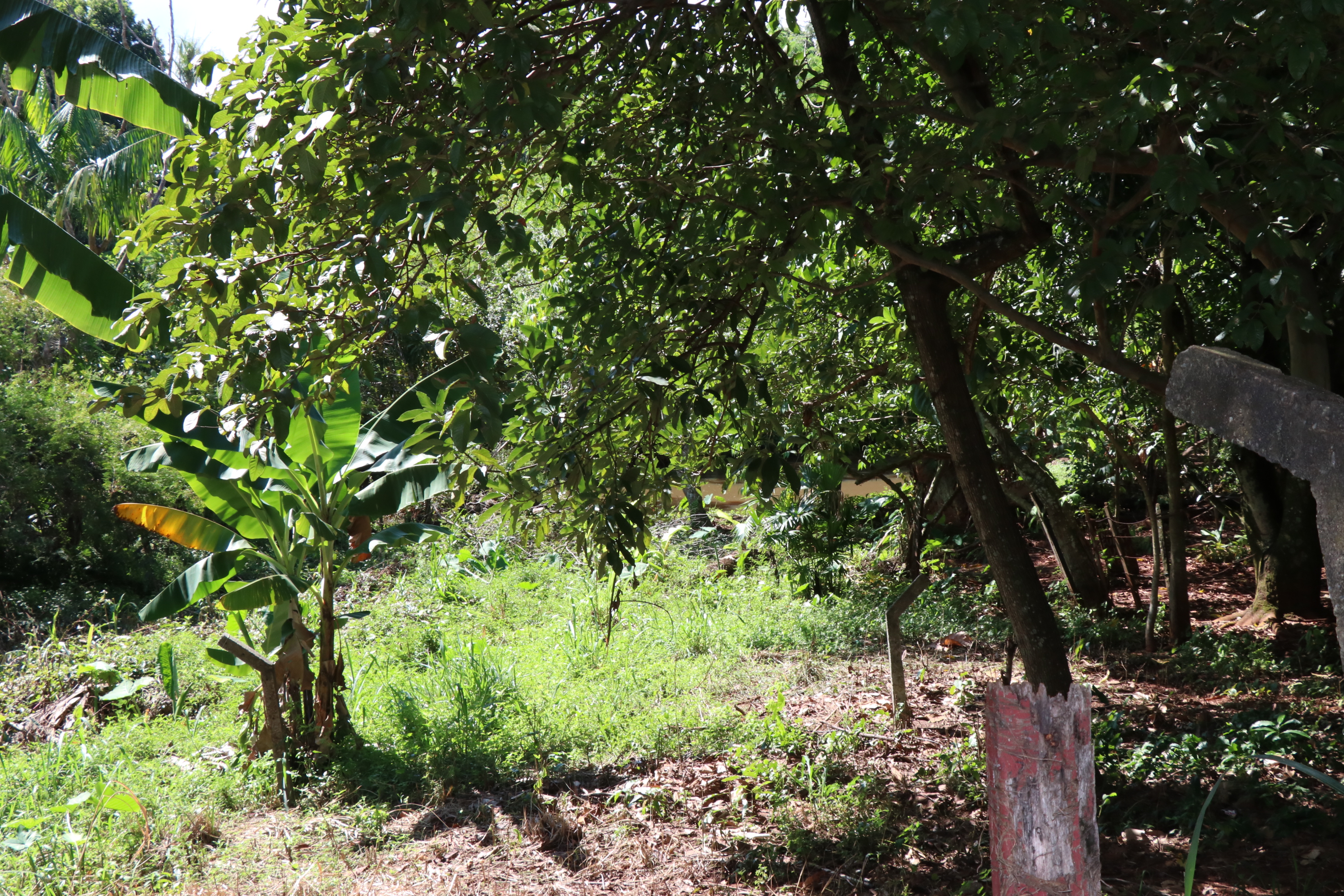 Foto Francisco Carvalho (55).JPG