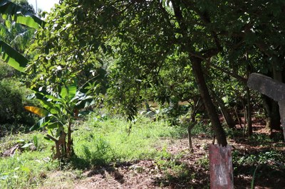 Foto Francisco Carvalho (55).JPG