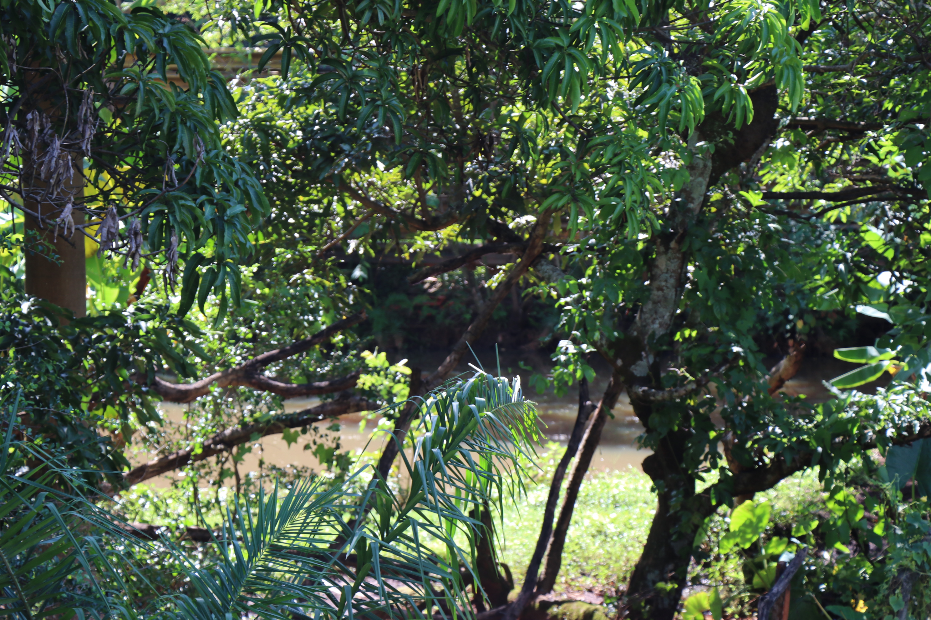 Foto Francisco Carvalho (59).JPG