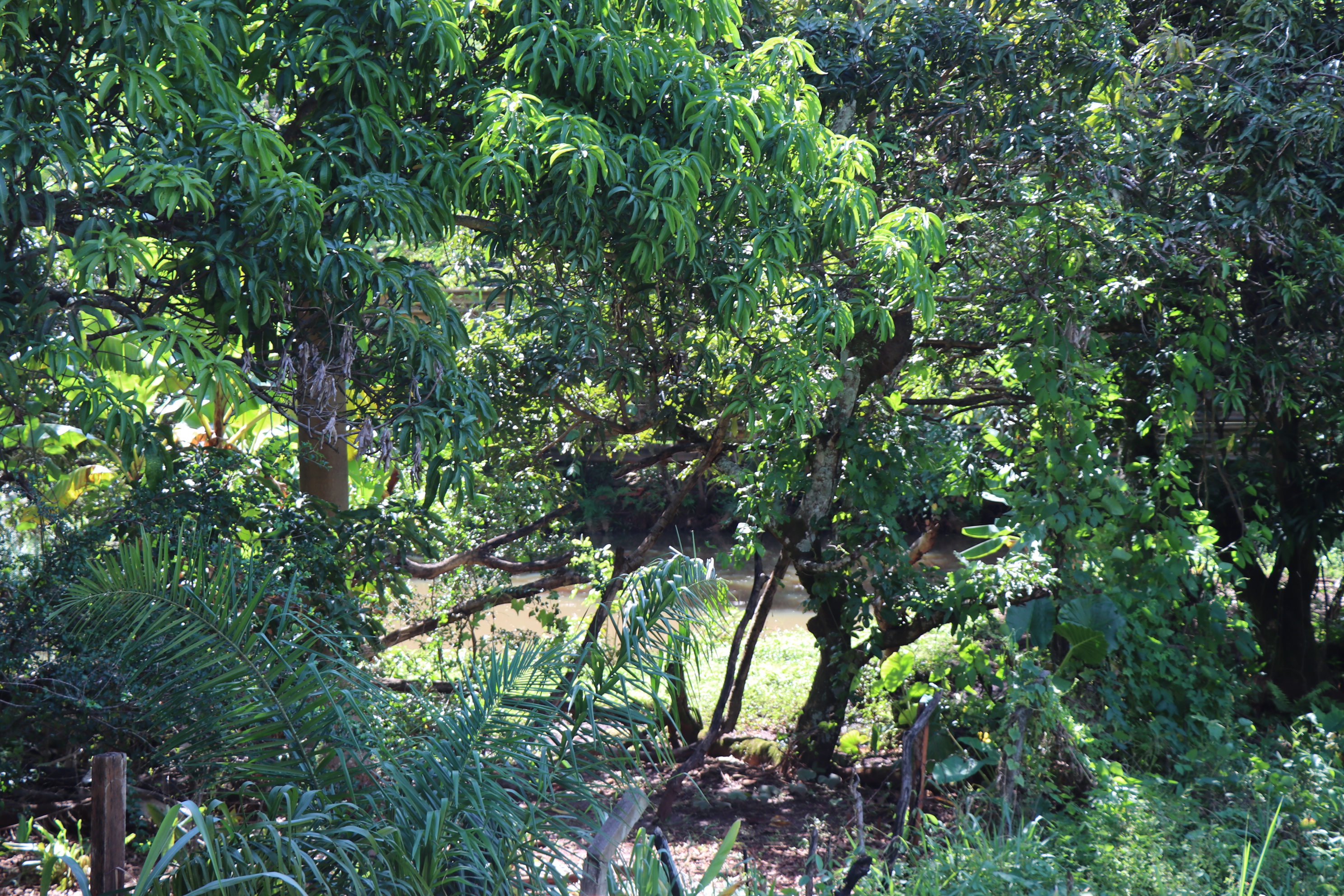 Foto Francisco Carvalho (60).JPG