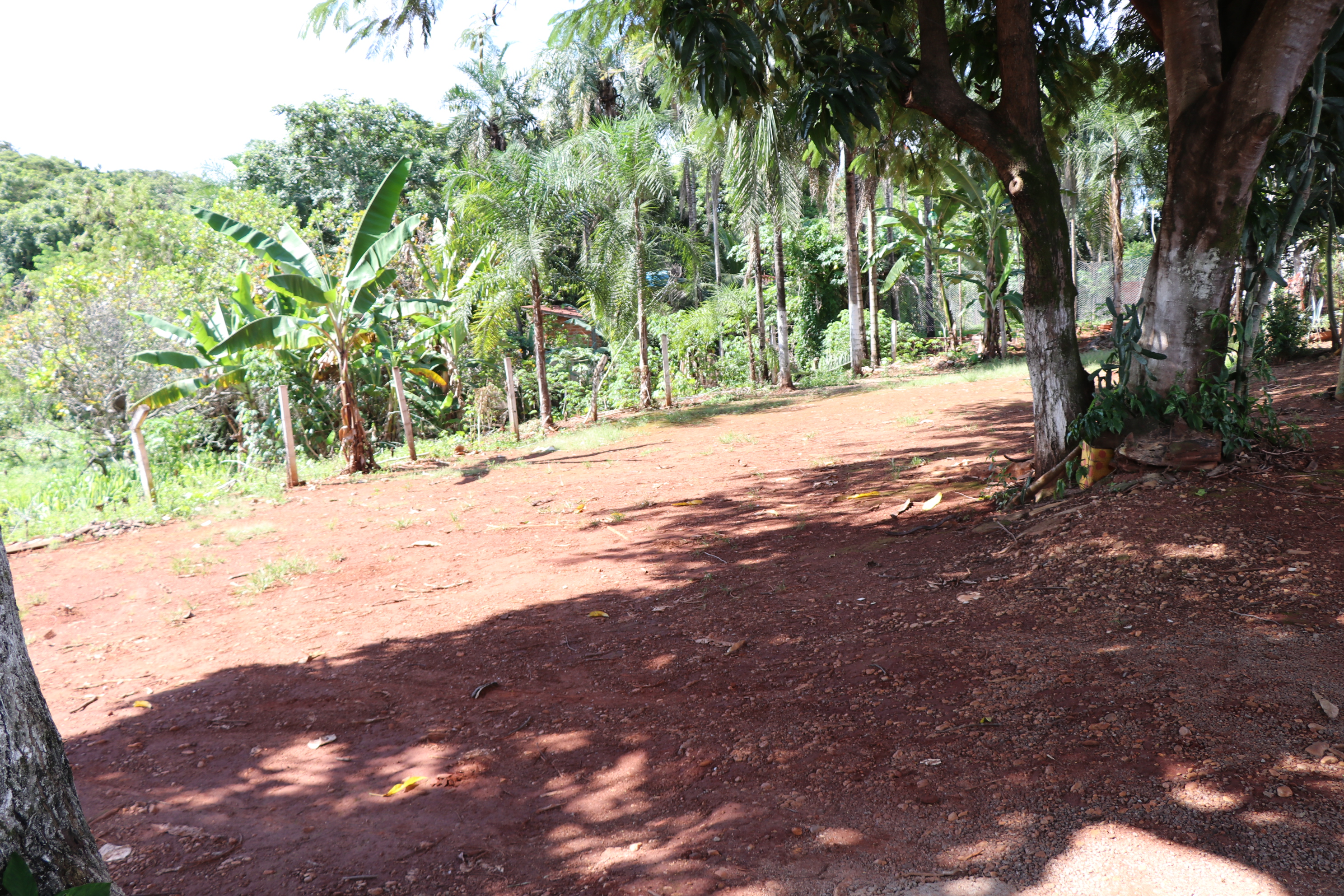 Foto Francisco Carvalho (62).JPG