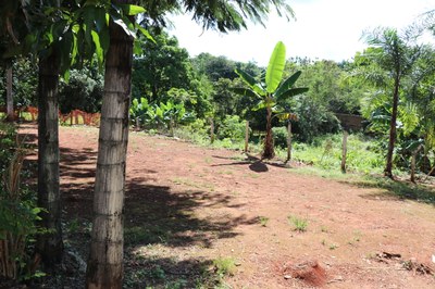 Foto Francisco Carvalho (63).JPG