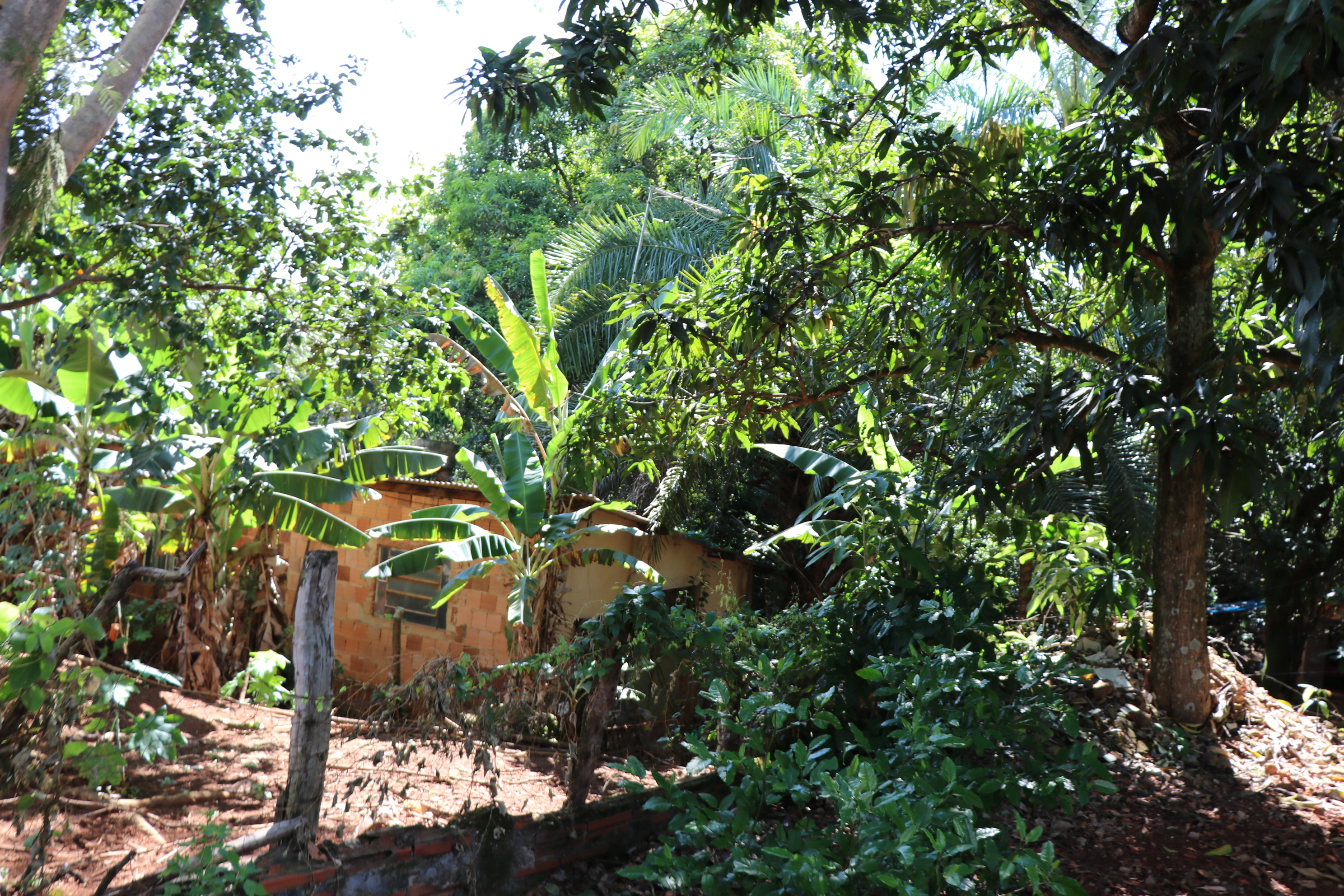 Foto Francisco Carvalho (66).JPG