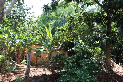 Foto Francisco Carvalho (66).JPG