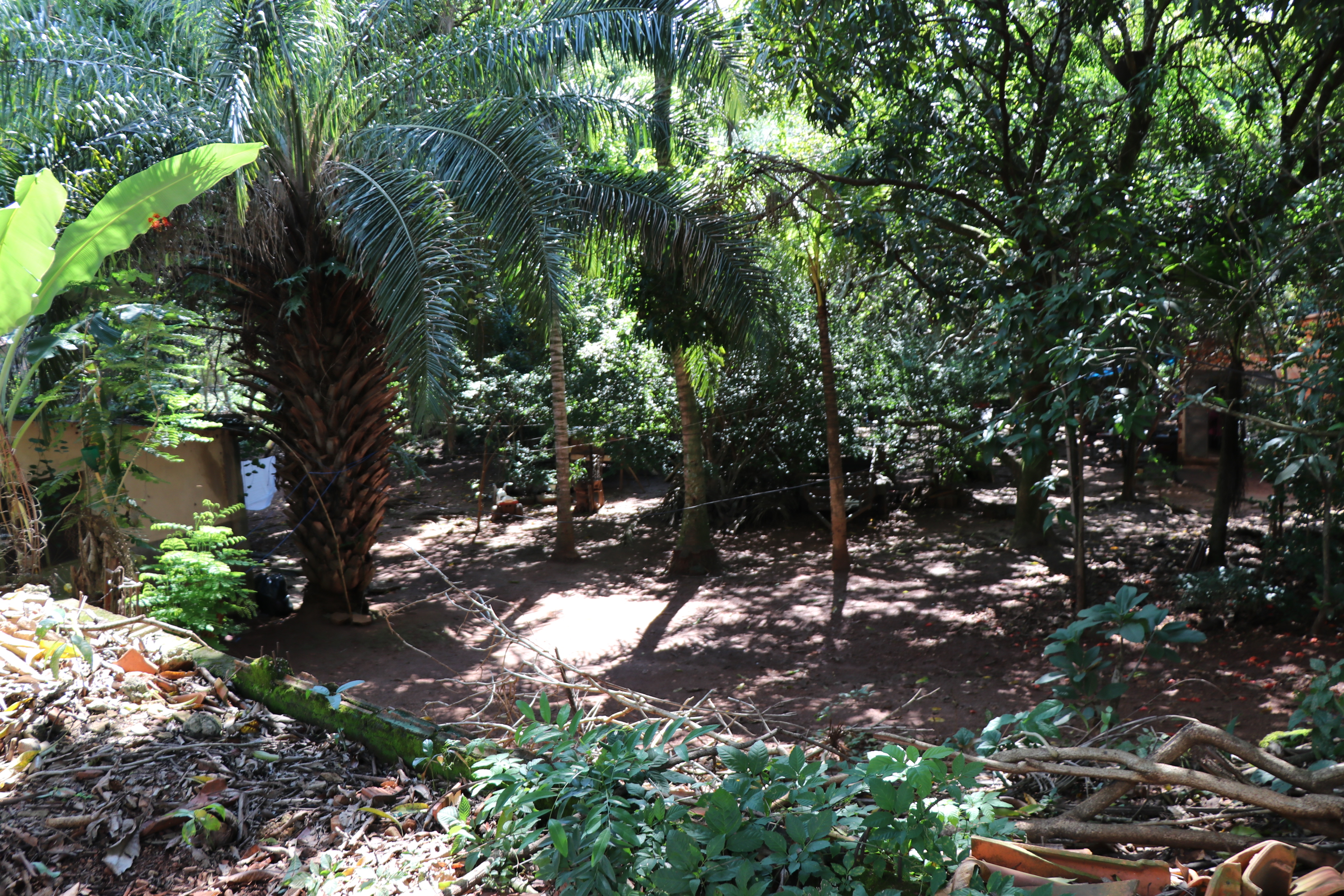 Foto Francisco Carvalho (68).JPG