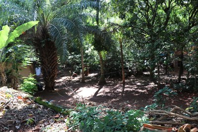 Foto Francisco Carvalho (68).JPG