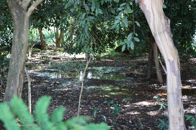 Foto Francisco Carvalho (71).JPG