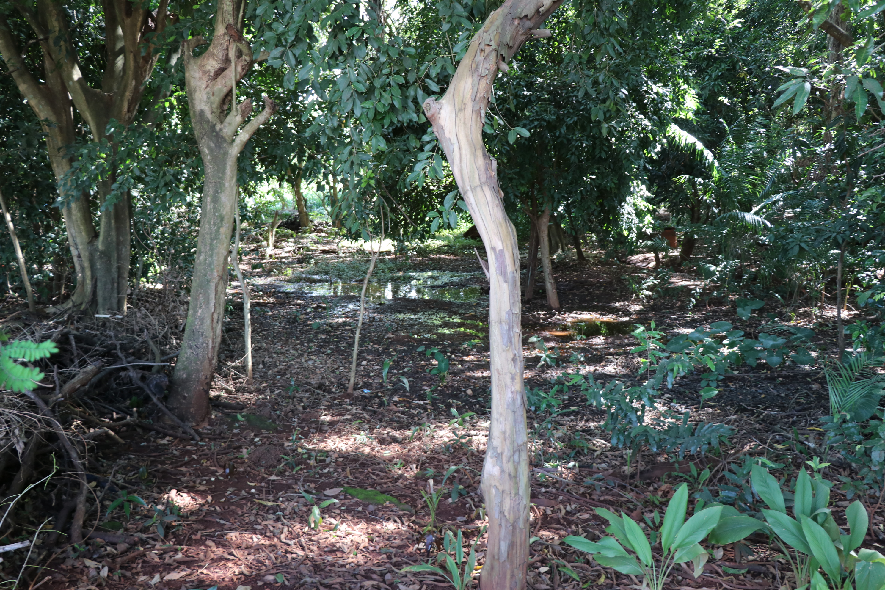 Foto Francisco Carvalho (72).JPG