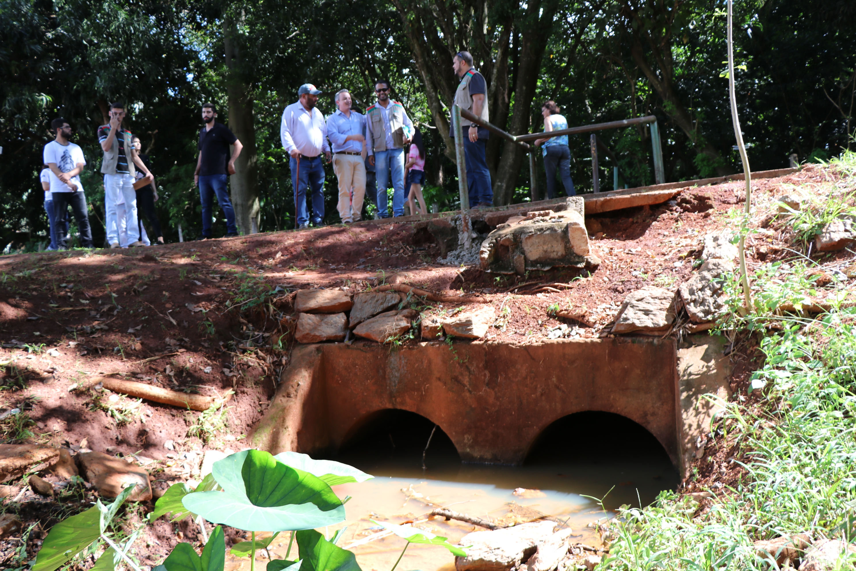 Foto Francisco Carvalho (77).JPG