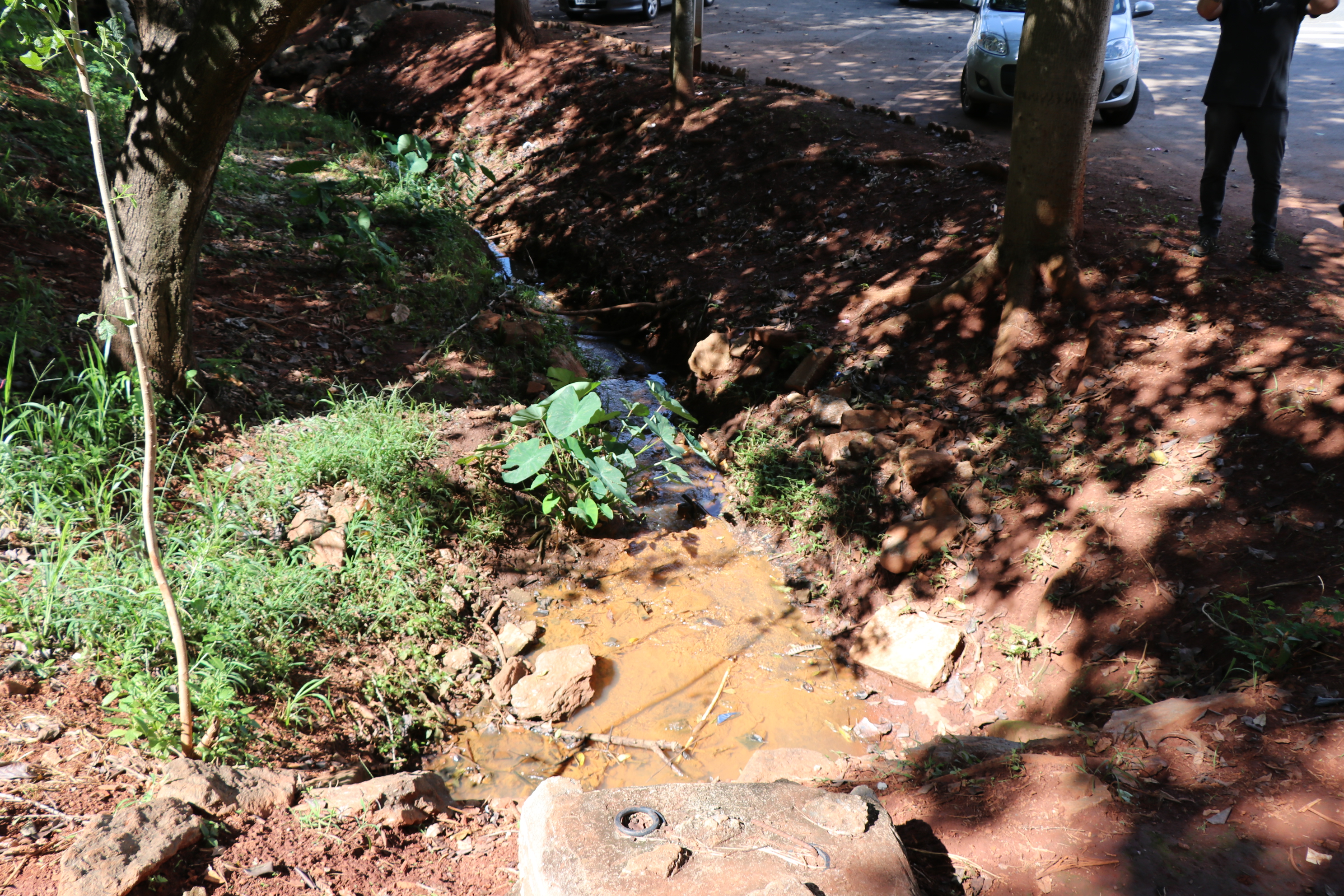 Foto Francisco Carvalho (81).JPG