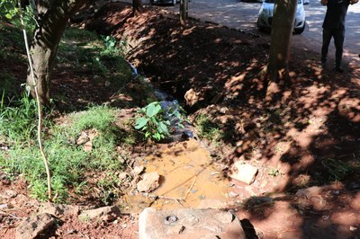 Foto Francisco Carvalho (81).JPG