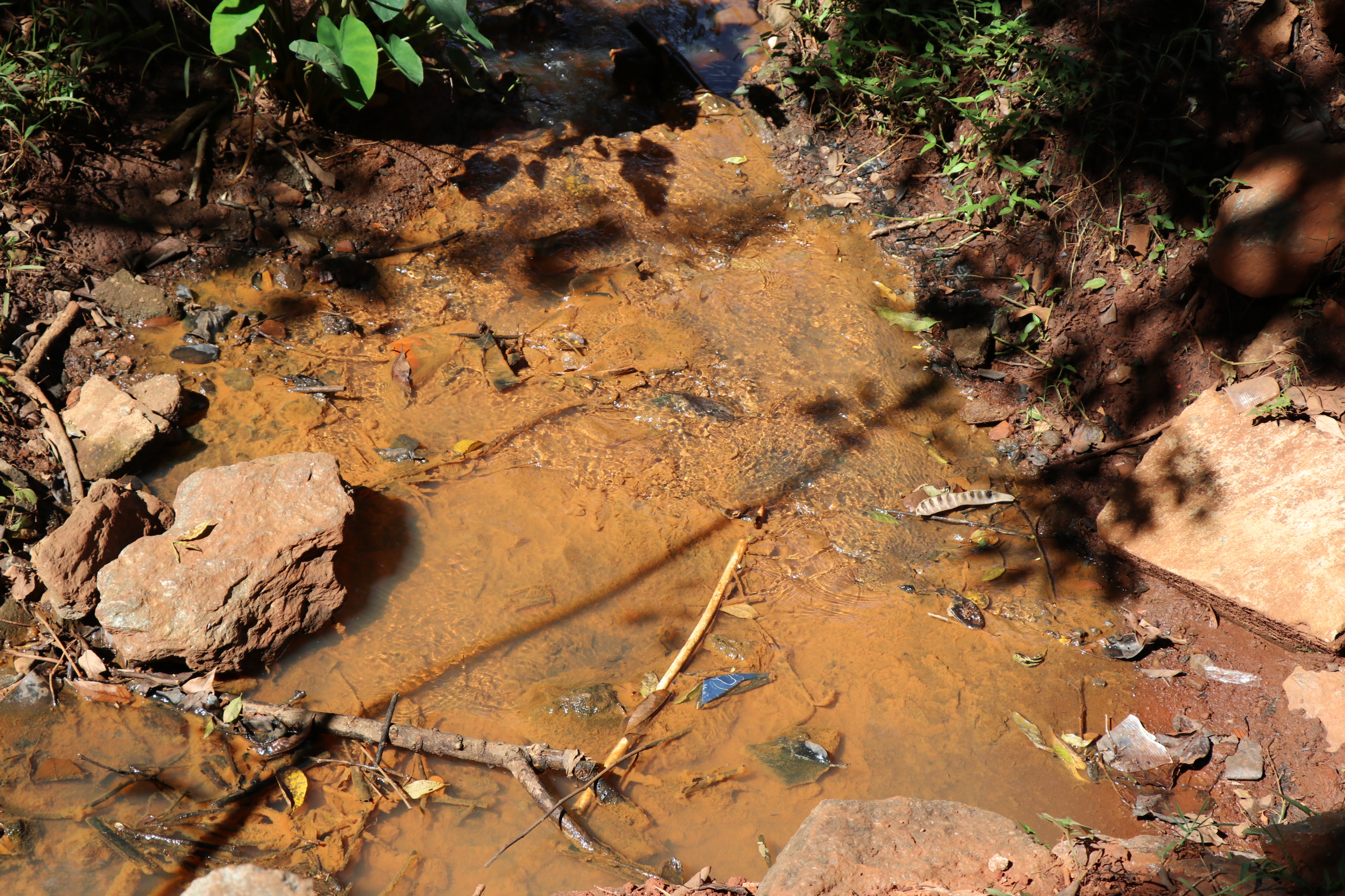 Foto Francisco Carvalho (82).JPG
