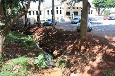 Foto Francisco Carvalho (83).JPG