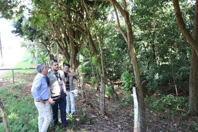 Foto Francisco Carvalho (86).JPG