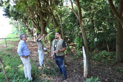 Foto Francisco Carvalho (87).JPG