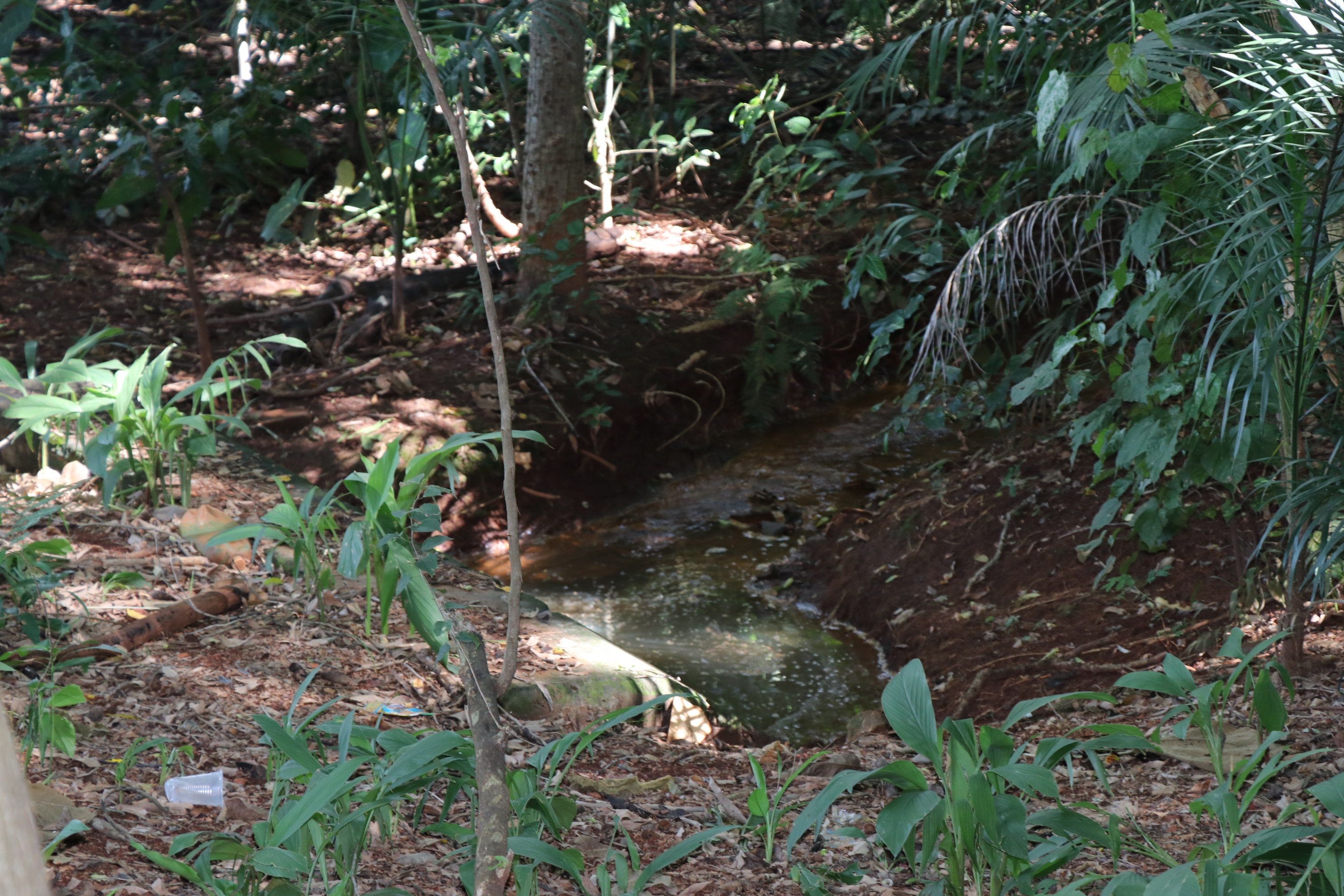 Foto Francisco Carvalho (88).JPG